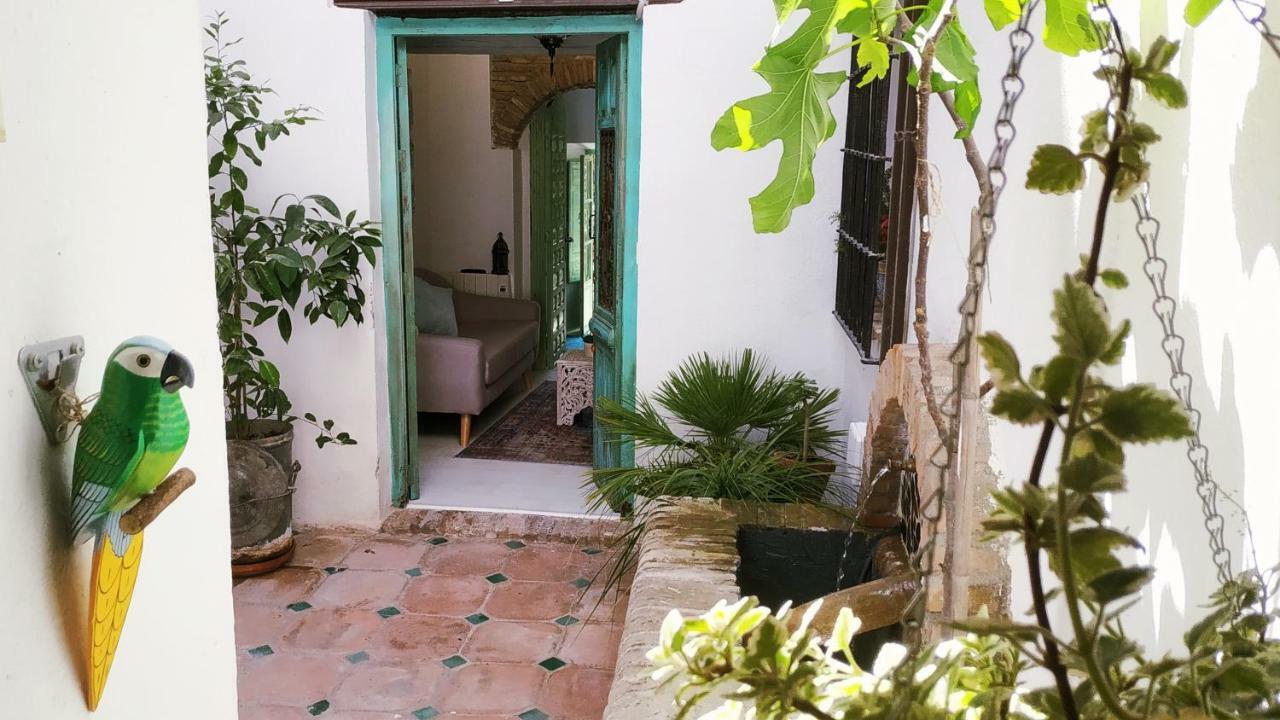 Riad Puertas Del Albaicin 格拉纳达 外观 照片