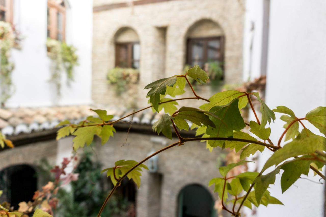 Riad Puertas Del Albaicin 格拉纳达 外观 照片